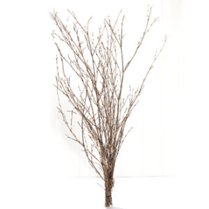 Bamboo branch - 70X40CM