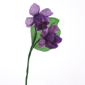 Violetx2 - 15CM