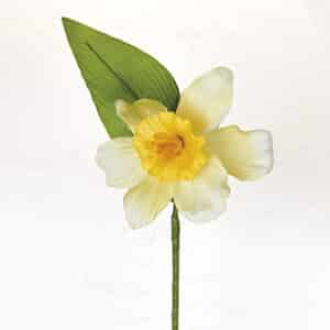 Daffodil - 10CM