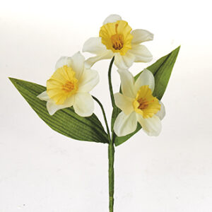 Daffodilx3 - 16CM