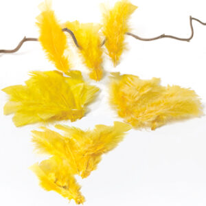 Feathers, asst yellow - 15CM, 10/BAG