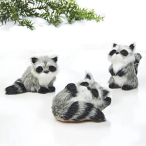 Raccoon, 5-7cm - 3 ASS.