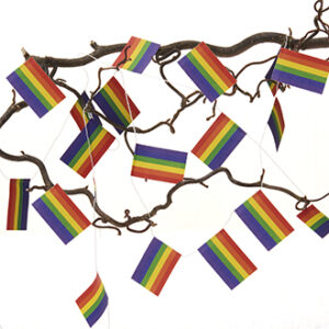 Rainbow flag garland - 2X4CM, 2/BAG
