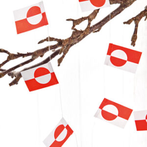 Greenlandian flag garland - 2/BAG