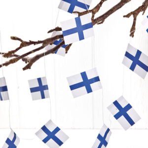 Finnish flag garlands, 20 flags, 2m - 2/BAG