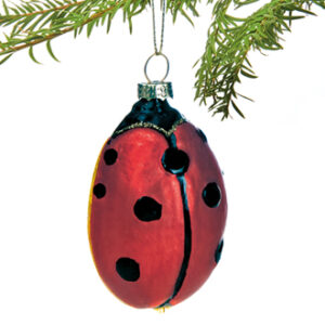 Ladybug, glass w. string - 7CM, 2 ASS.