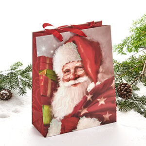 Gift bag, santa - 32X25CM